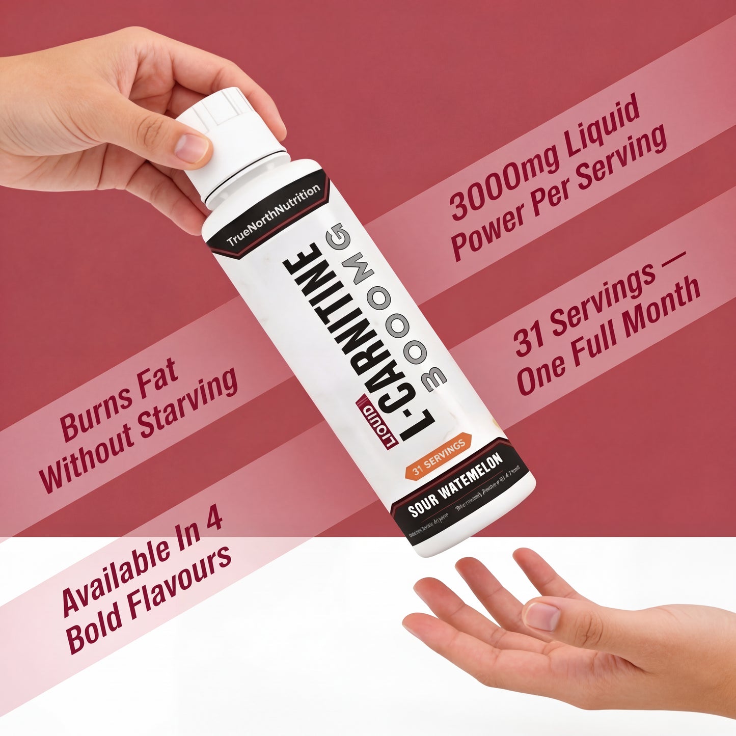 TrueNorthNutrition™ Liquid L-Carnitine 3000 MG